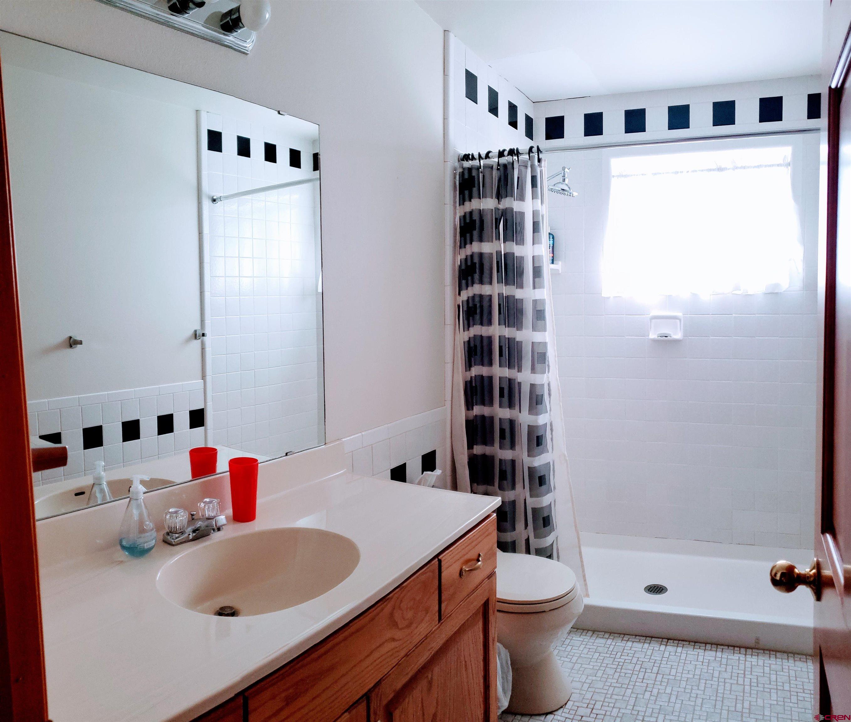 21669 Myers Road Orchard City, CO 81418 - Photo 29 of 35 a bathroom with a sink a toilet and shower