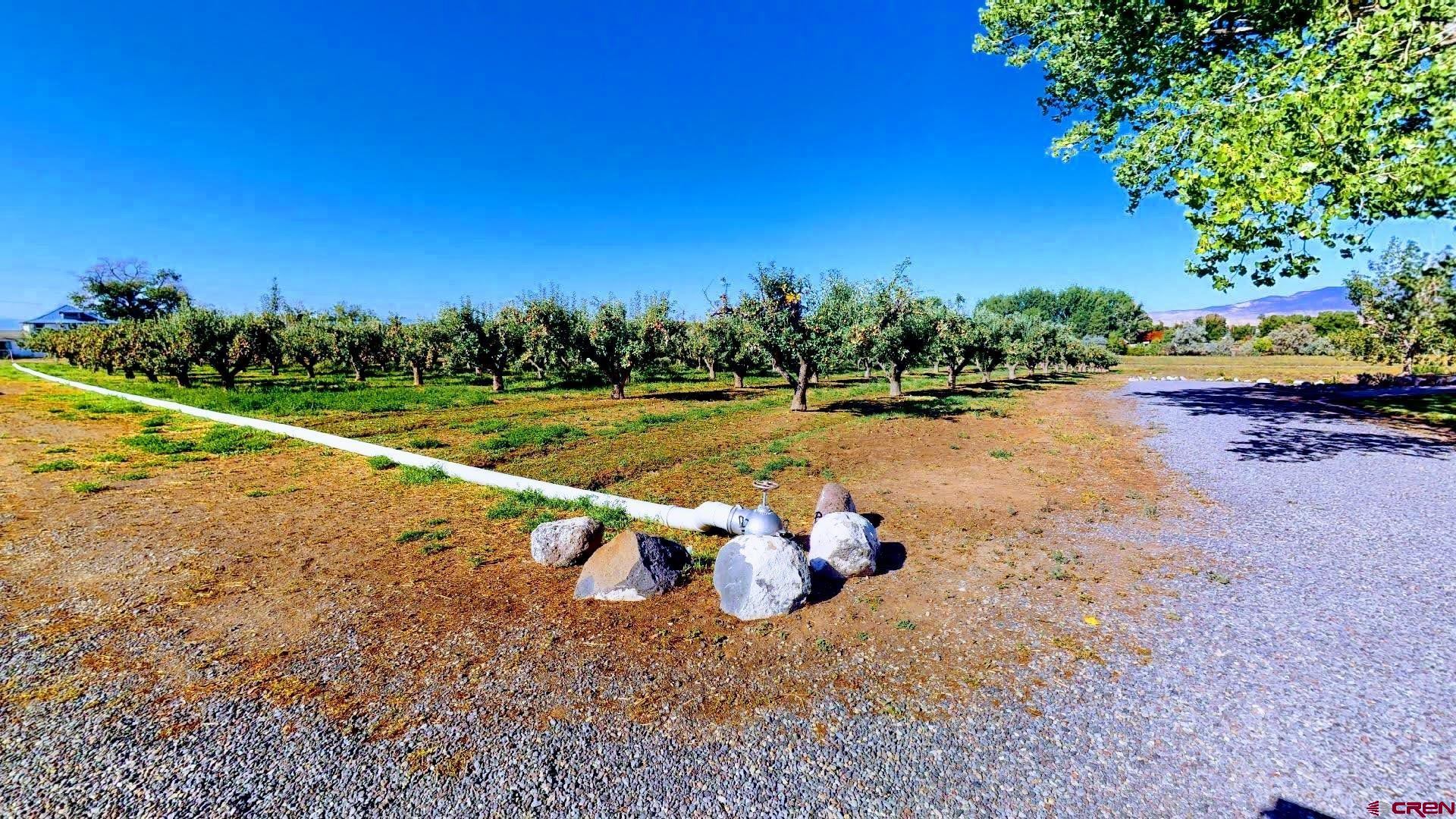 21669 Myers Road Orchard City, CO 81418 - Photo 34 of 35 a view of a lake with a yard