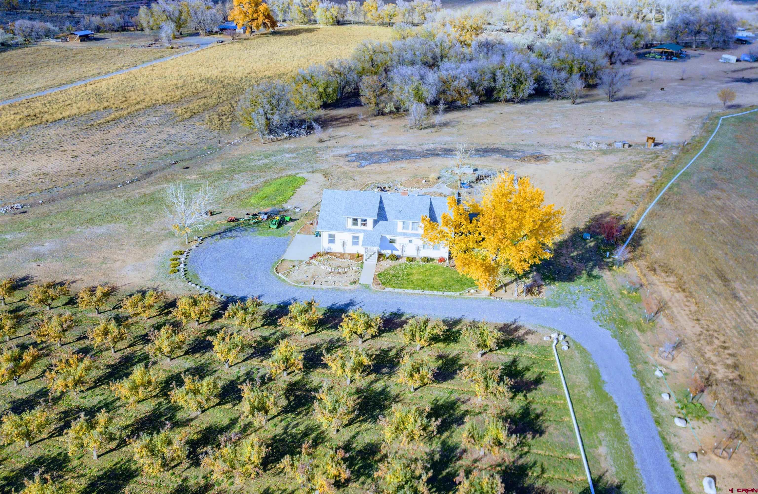 21669 Myers Road Orchard City, CO 81418 - Photo 35 of 35 a view of a swimming pool with a yard