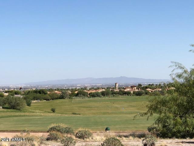 2851 North Riley Road Buckeye, AZ 85396 - Photo 36 of 46 20210206044515375263000000-o