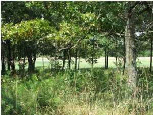 438 East Teloga Road Summerville, GA 30747 - Photo 1 of 1 Gallery Image 1
