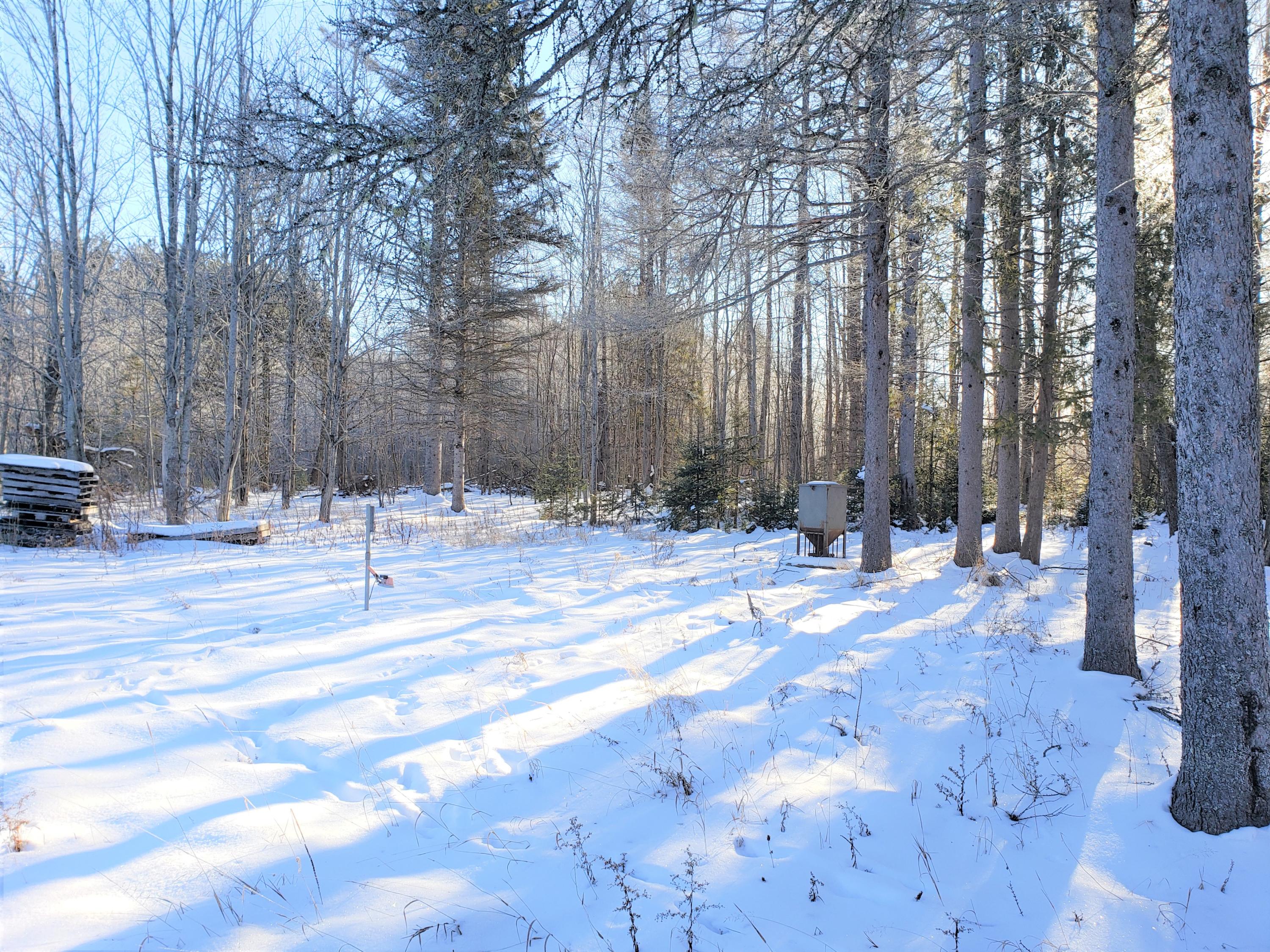 6287 West 12 Mile Road Dafter, MI 49724 - Photo 23 of 28 Gallery Image 23