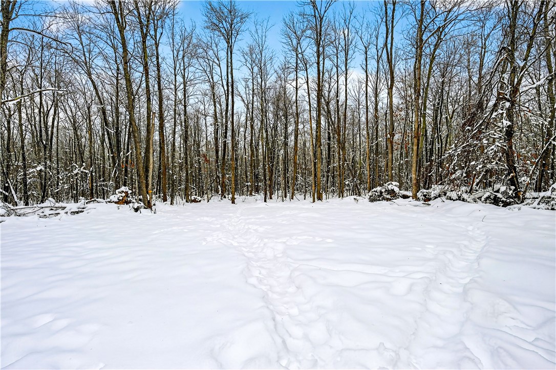 4748 W Butler Road Winter, WI 54896 - Photo 43 of 55