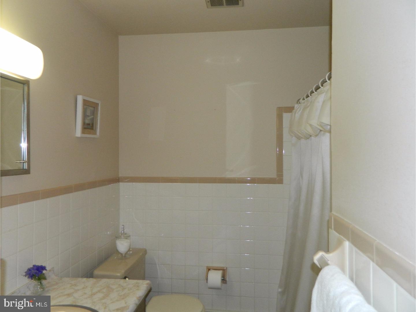 183 Shoemaker Road Huntingdon Valley, PA 19006 - Photo 9 of 15 Bathroom