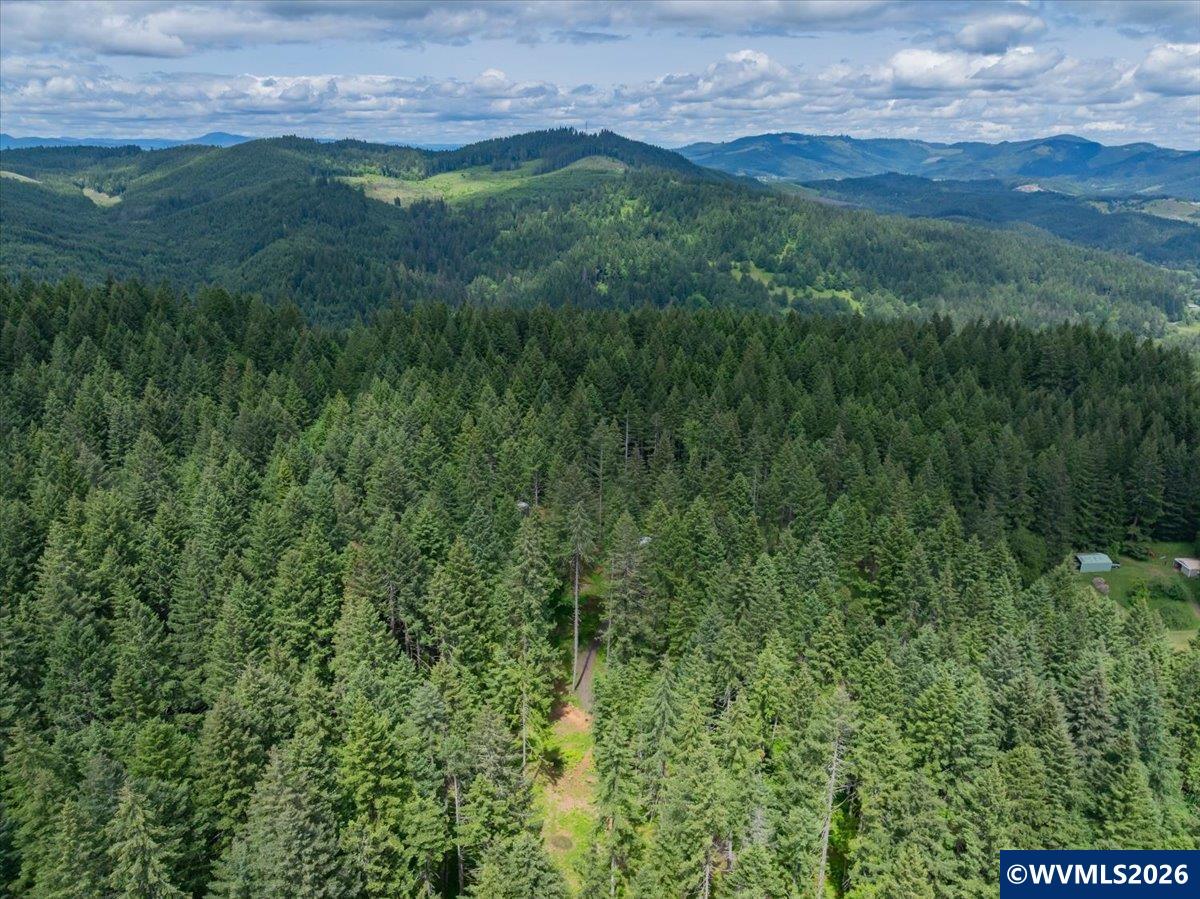23161 Old Peak Road Philomath, OR 97370 - Photo 49 of 49