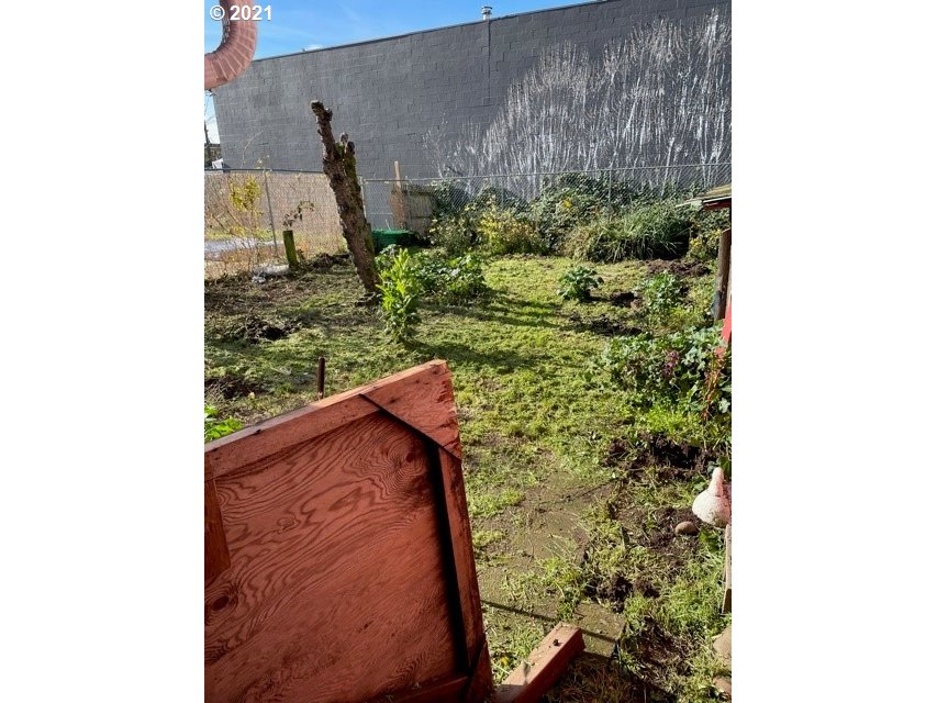 439 Q Street Springfield, OR 97477 - Photo 17 of 18 a close view of a garden