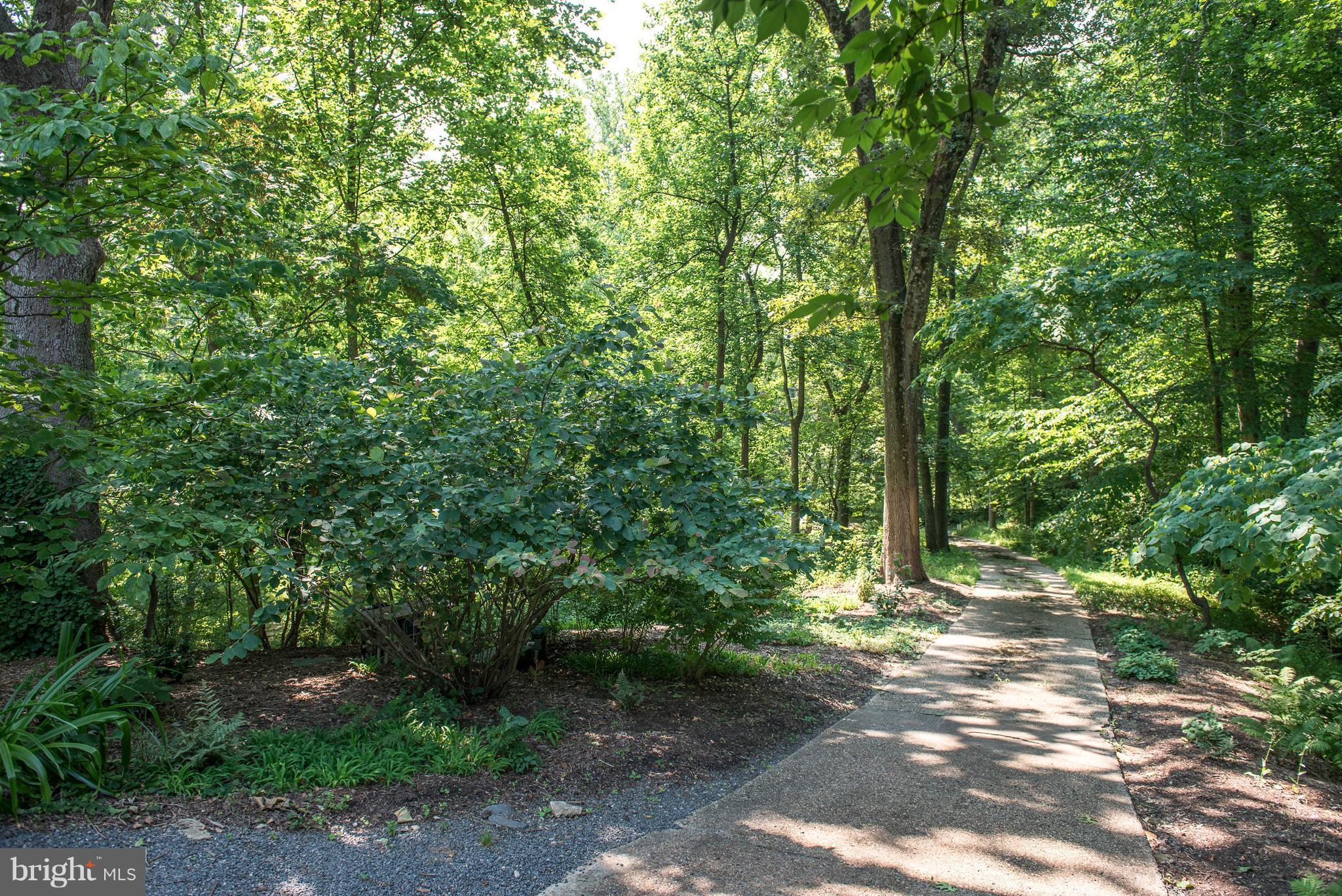 1300 Ranleigh Road McLean, VA 22101 - Photo 26 of 30 a backyard of a house with lots of green space