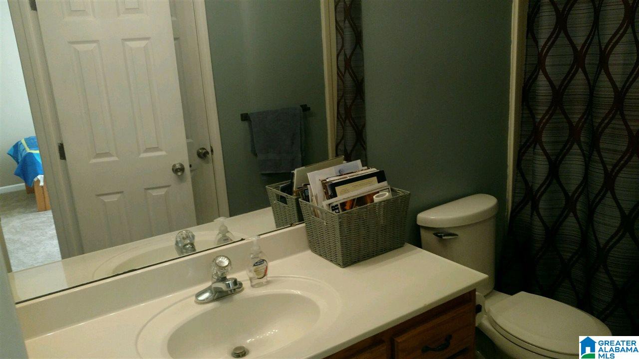 180 Lisa Lane Springville, AL 35146 - Photo 10 of 19