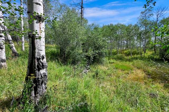 5426 East Colter Road, Unit 33 Kamas, UT 84036 - Photo 17 of 45 Wooded property featuring mature trees and natural groundcover