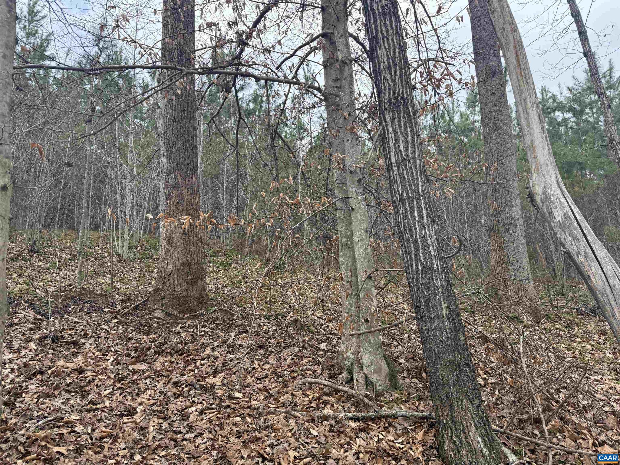 C2 Hardware Road, Unit C2 Arvonia, VA 23004 - Photo 13 of 13