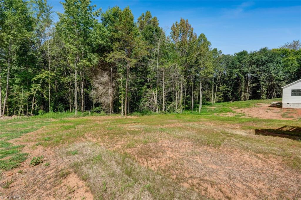 156 Lee Road Reidsville, NC 27320 - Photo 6 of 37 Gallery Image 6