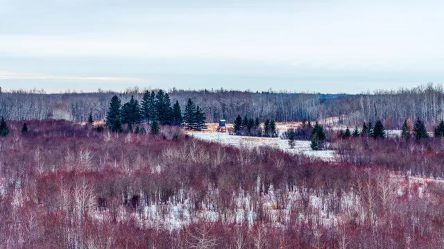 $474,900 | Tbd Fourtown Road Northwest, Grygla, MN 56727