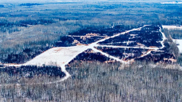 $474,900 | Tbd Fourtown Road Northwest, Grygla, MN 56727