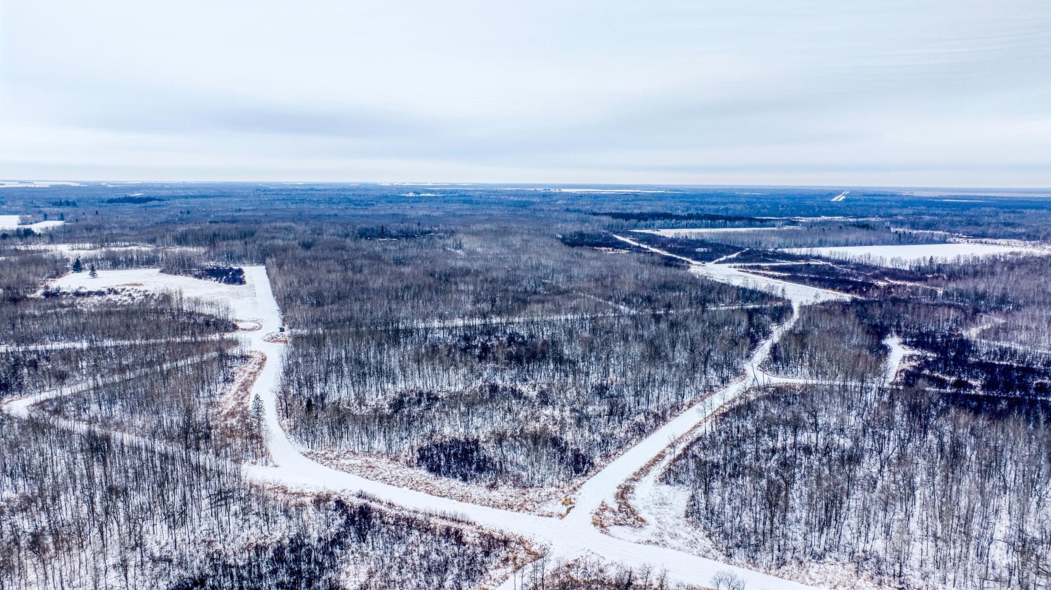 Tbd Fourtown Road Northwest Grygla, MN 56727 - Photo 15 of 51