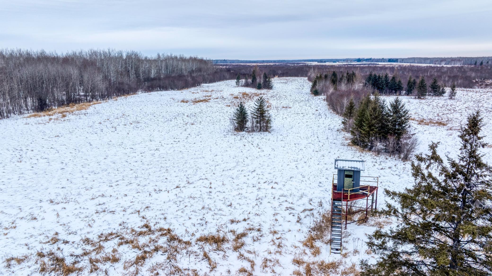 Tbd Fourtown Road Northwest Grygla, MN 56727 - Photo 18 of 51