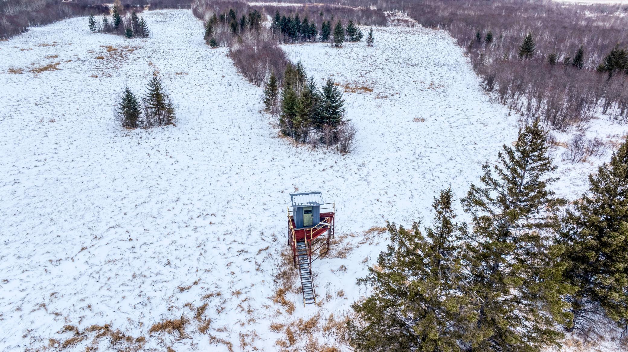 Tbd Fourtown Road Northwest Grygla, MN 56727 - Photo 19 of 51