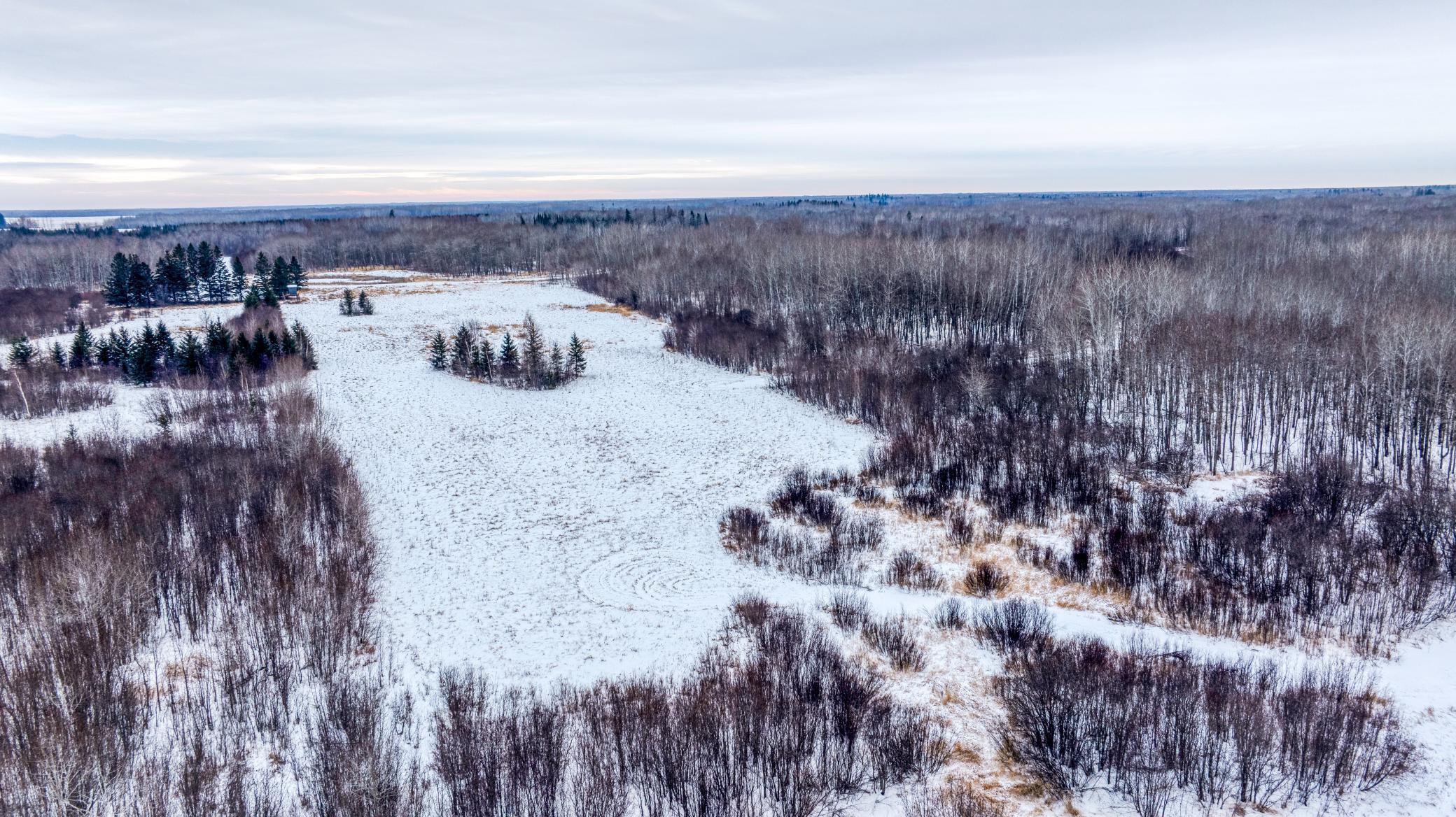Tbd Fourtown Road Northwest Grygla, MN 56727 - Photo 28 of 51