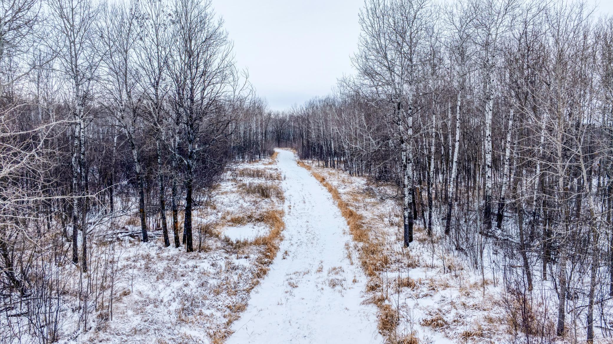Tbd Fourtown Road Northwest Grygla, MN 56727 - Photo 29 of 51