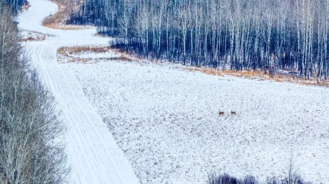 $474,900 | Tbd Fourtown Road Northwest, Grygla, MN 56727