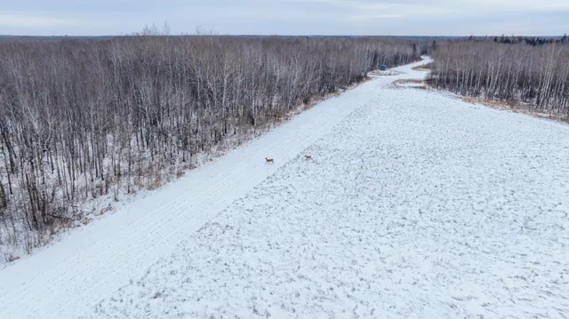 $474,900 | Tbd Fourtown Road Northwest, Grygla, MN 56727