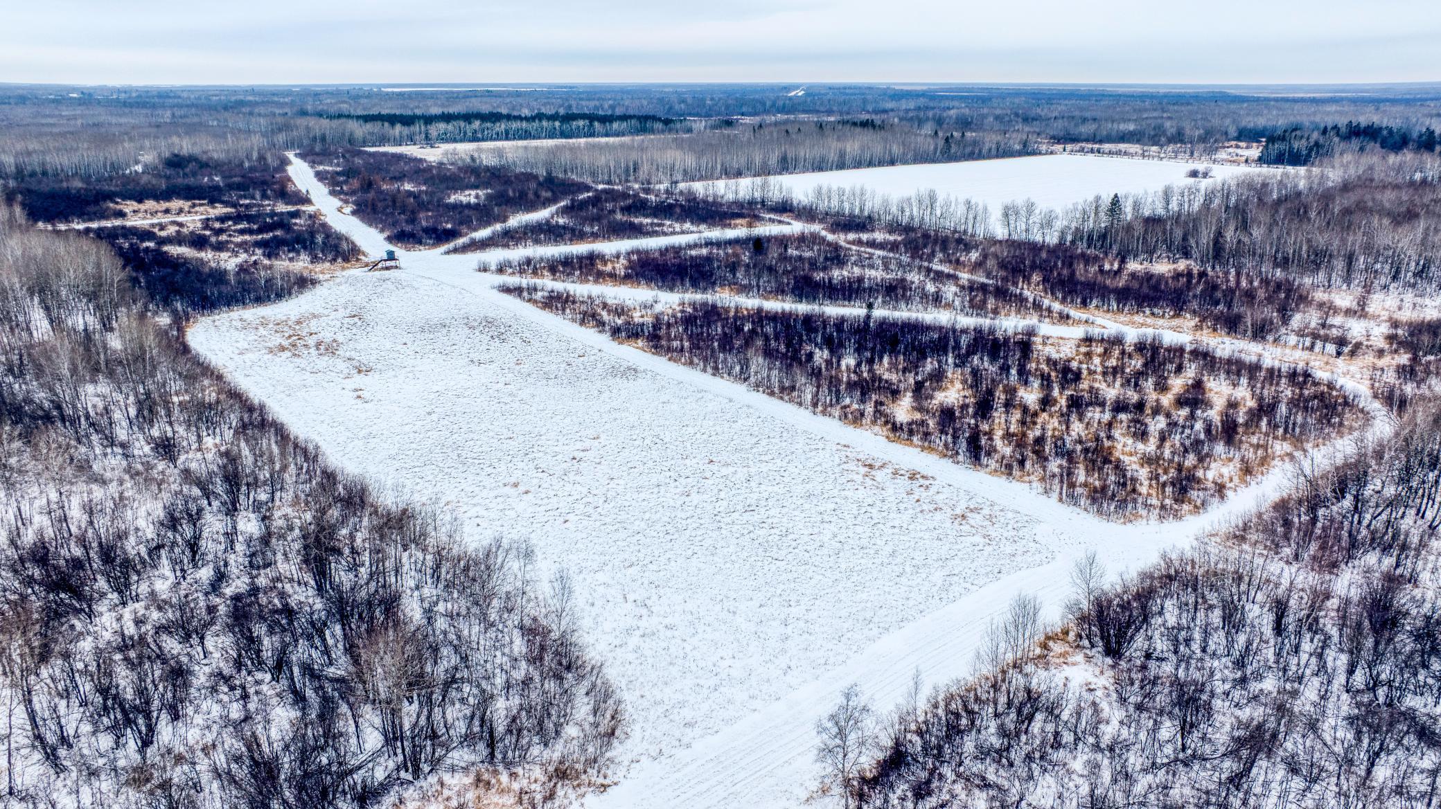 Tbd Fourtown Road Northwest Grygla, MN 56727 - Photo 36 of 51