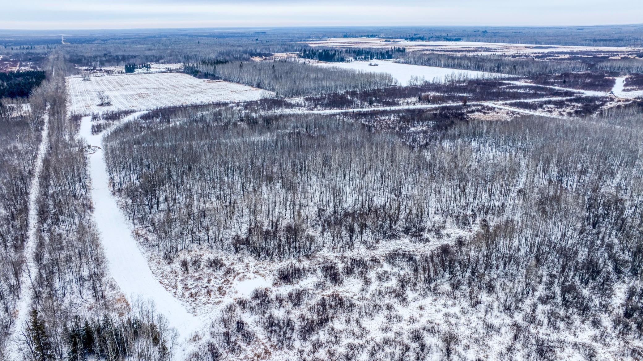 Tbd Fourtown Road Northwest Grygla, MN 56727 - Photo 45 of 51