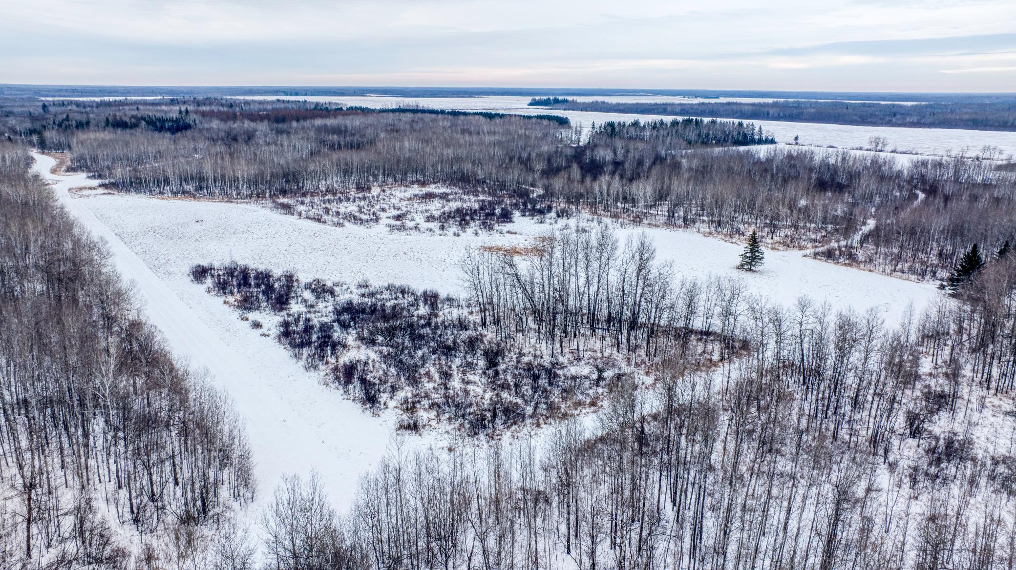 Tbd Fourtown Road Northwest Grygla, MN 56727 - Photo 48 of 51