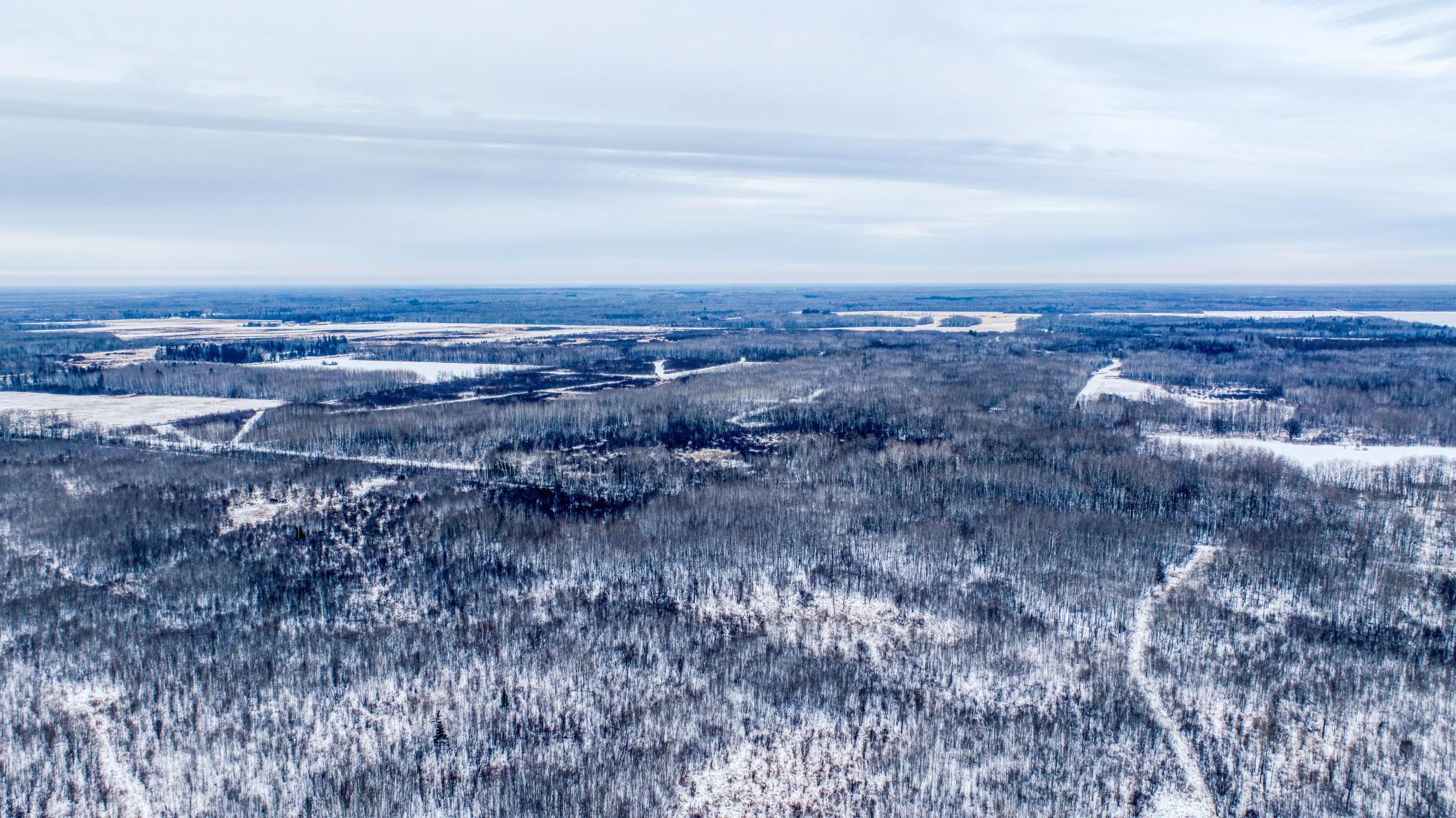 Tbd Fourtown Road Northwest Grygla, MN 56727 - Photo 51 of 51