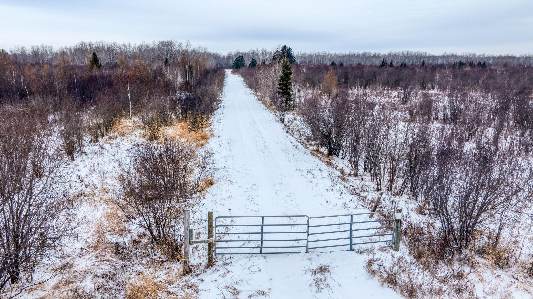 Tbd Fourtown Road Northwest Grygla, MN 56727 - Photo 8 of 51