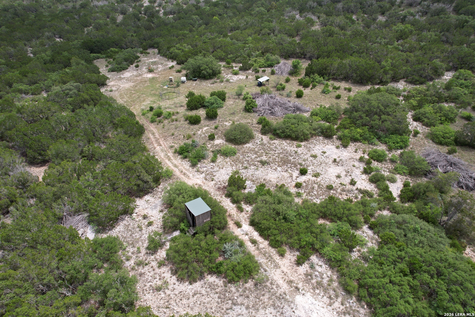 2190 Cr 650 Rocksprings Tx 78880 Del Rio, TX 78840 - Photo 44 of 62 a view of a forest with trees
