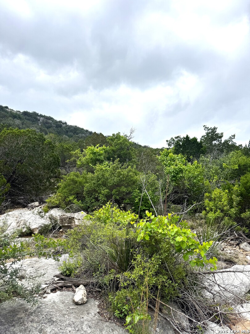 2190 Cr 650 Rocksprings Tx 78880 Del Rio, TX 78840 - Photo 59 of 62 a view of a bunch of trees and bushes