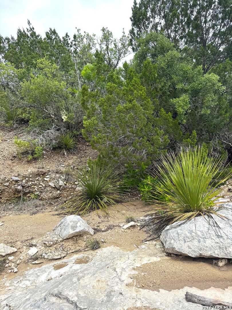 2190 Cr 650 Rocksprings Tx 78880 Del Rio, TX 78840 - Photo 60 of 62 a view of a garden with plants