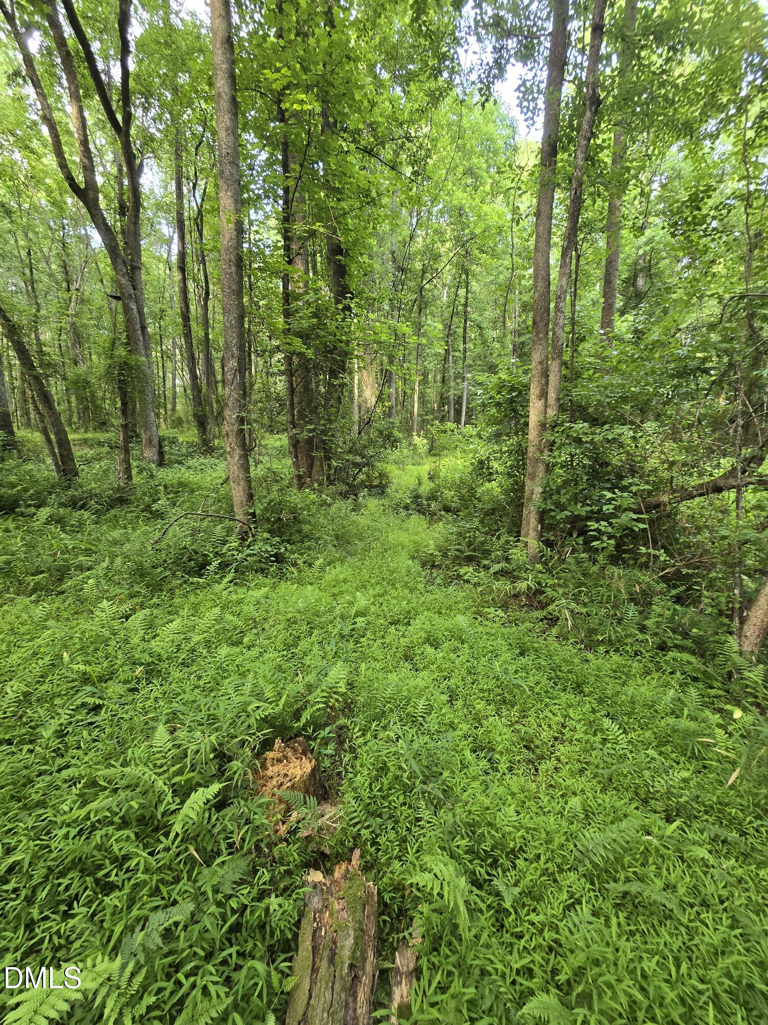 0 Honeycutt Road Willow Spring, NC 27592 - Photo 16 of 18 IMG-20260531-WA0035