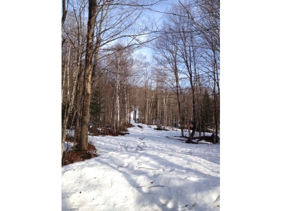 0 Labay Place Road East Haven, VT 05837 - Photo 1 of 1