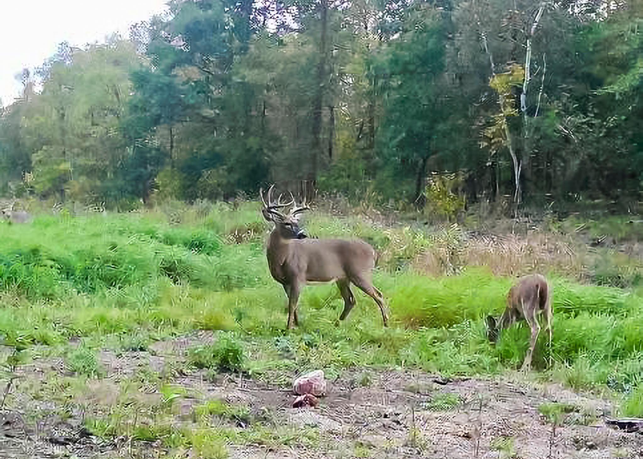 30871 Sunset Road Detroit Lakes, MN 56501 - Photo 52 of 69