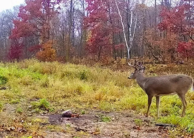 $990,000 | 30871 Sunset Road, Detroit Lakes, MN 56501