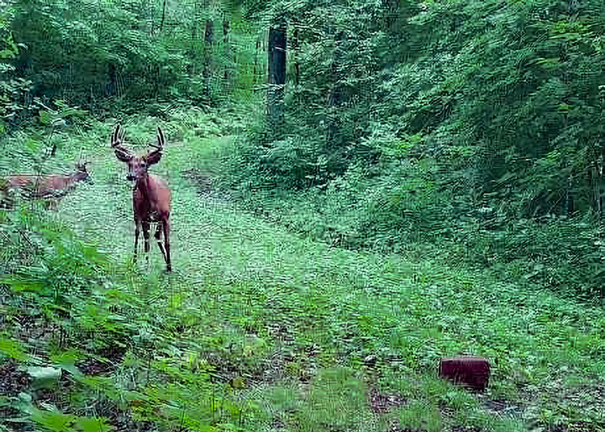 30871 Sunset Road Detroit Lakes, MN 56501 - Photo 54 of 69