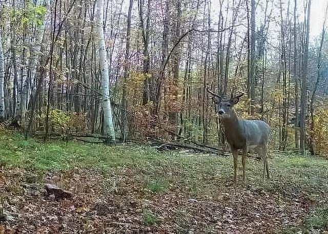 $990,000 | 30871 Sunset Road, Detroit Lakes, MN 56501