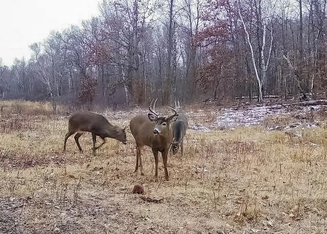 $990,000 | 30871 Sunset Road, Detroit Lakes, MN 56501