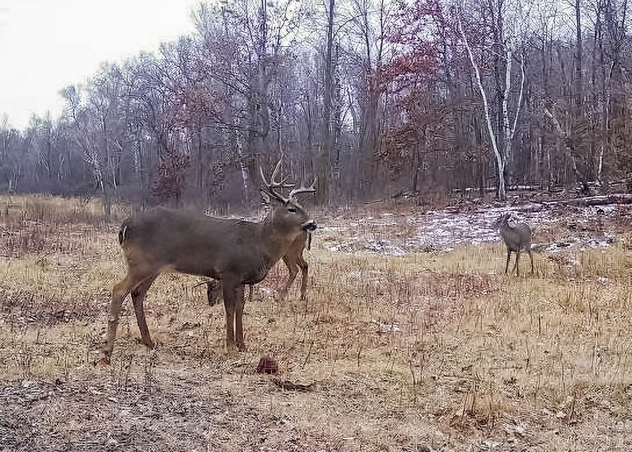 30871 Sunset Road Detroit Lakes, MN 56501 - Photo 57 of 69