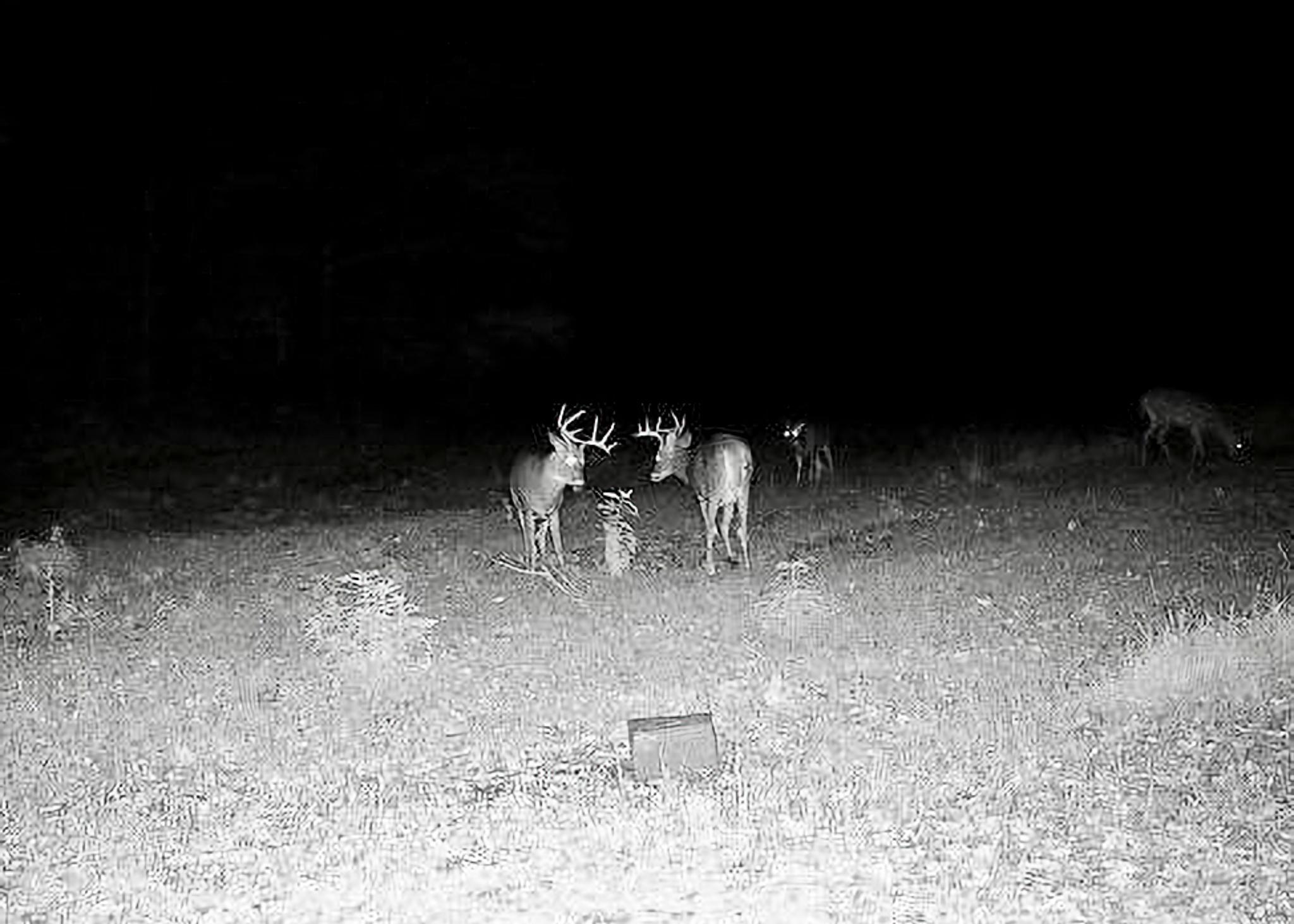 30871 Sunset Road Detroit Lakes, MN 56501 - Photo 58 of 69