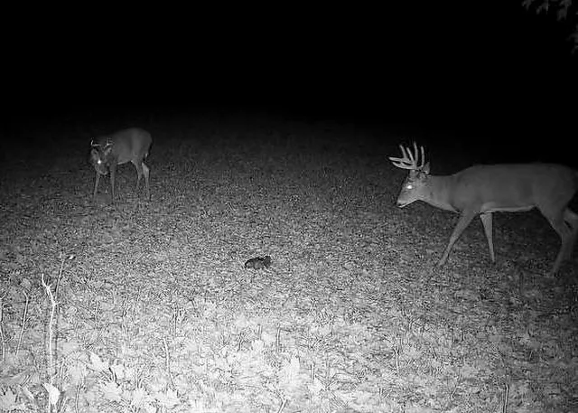 $990,000 | 30871 Sunset Road, Detroit Lakes, MN 56501