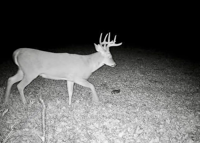 $990,000 | 30871 Sunset Road, Detroit Lakes, MN 56501