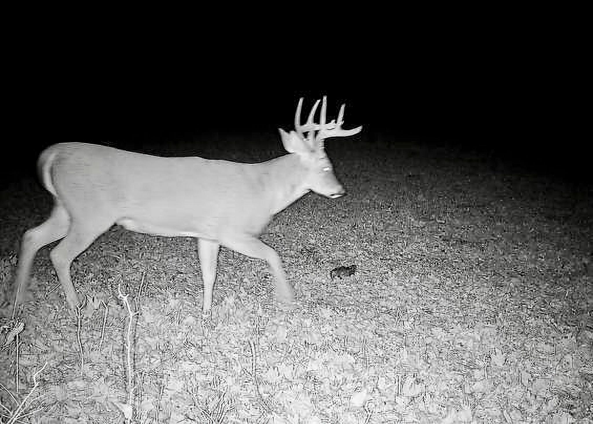 30871 Sunset Road Detroit Lakes, MN 56501 - Photo 60 of 69