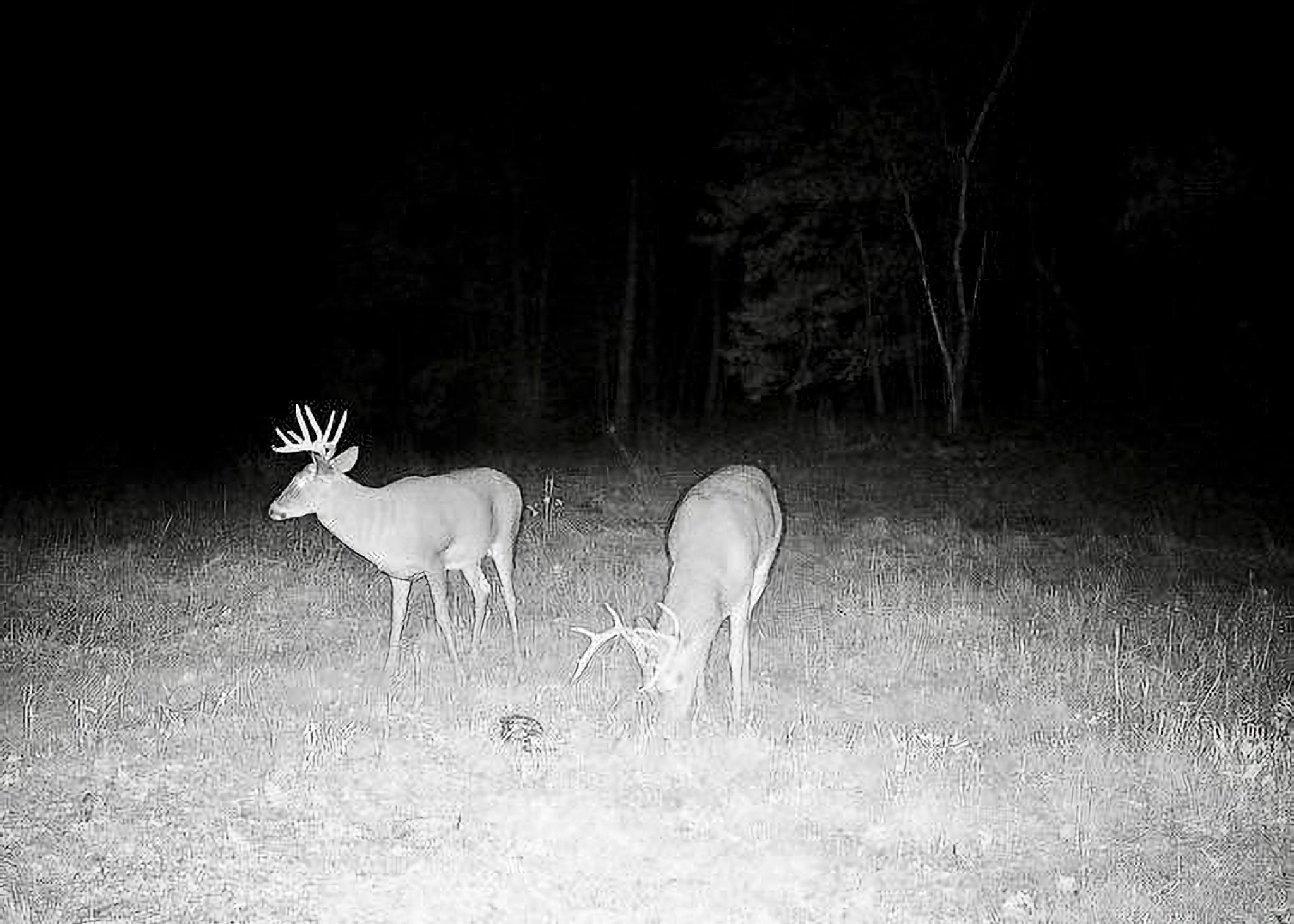 30871 Sunset Road Detroit Lakes, MN 56501 - Photo 61 of 69