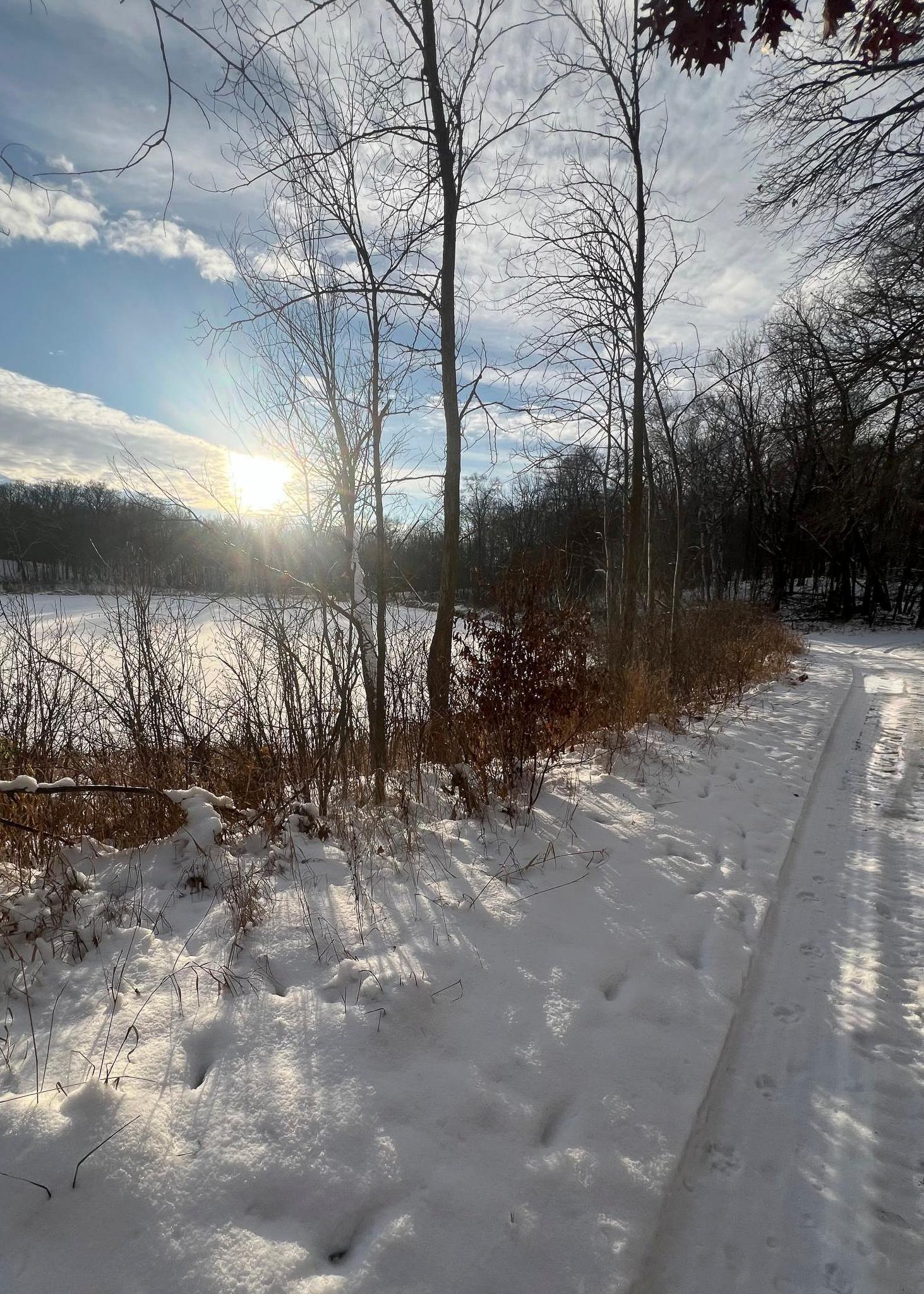 30871 Sunset Road Detroit Lakes, MN 56501 - Photo 65 of 69