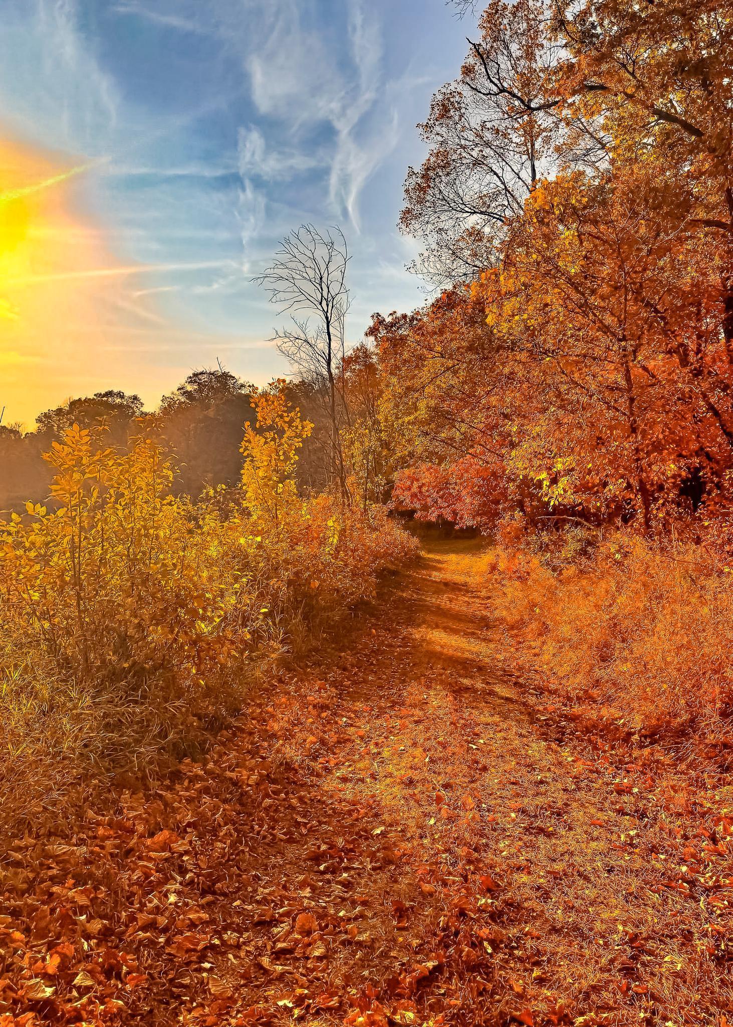 30871 Sunset Road Detroit Lakes, MN 56501 - Photo 66 of 69