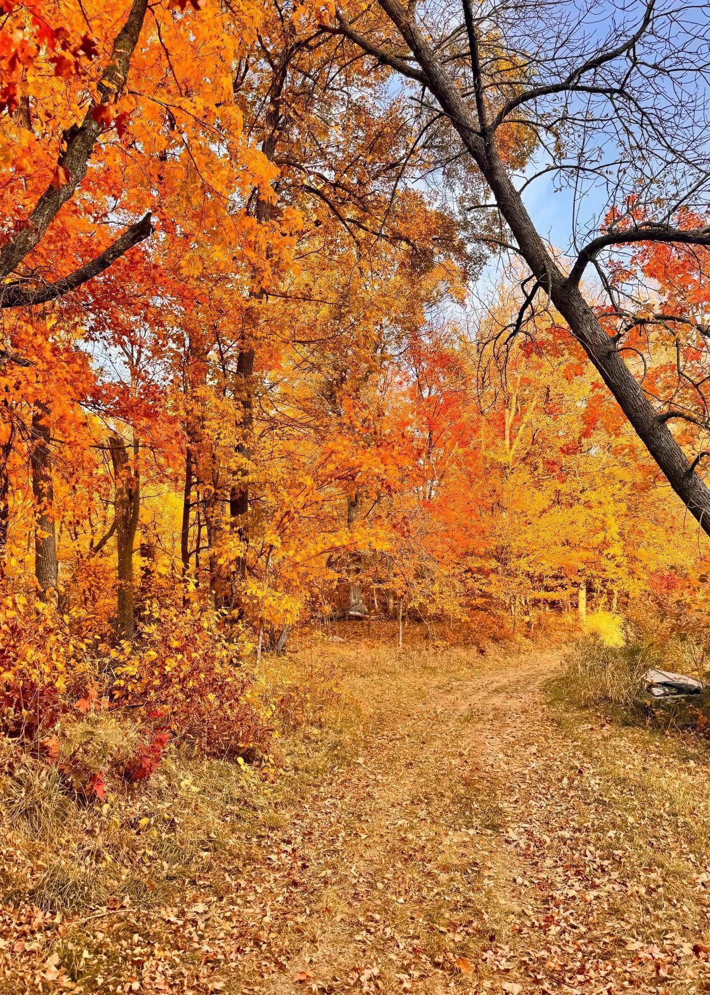 30871 Sunset Road Detroit Lakes, MN 56501 - Photo 67 of 69