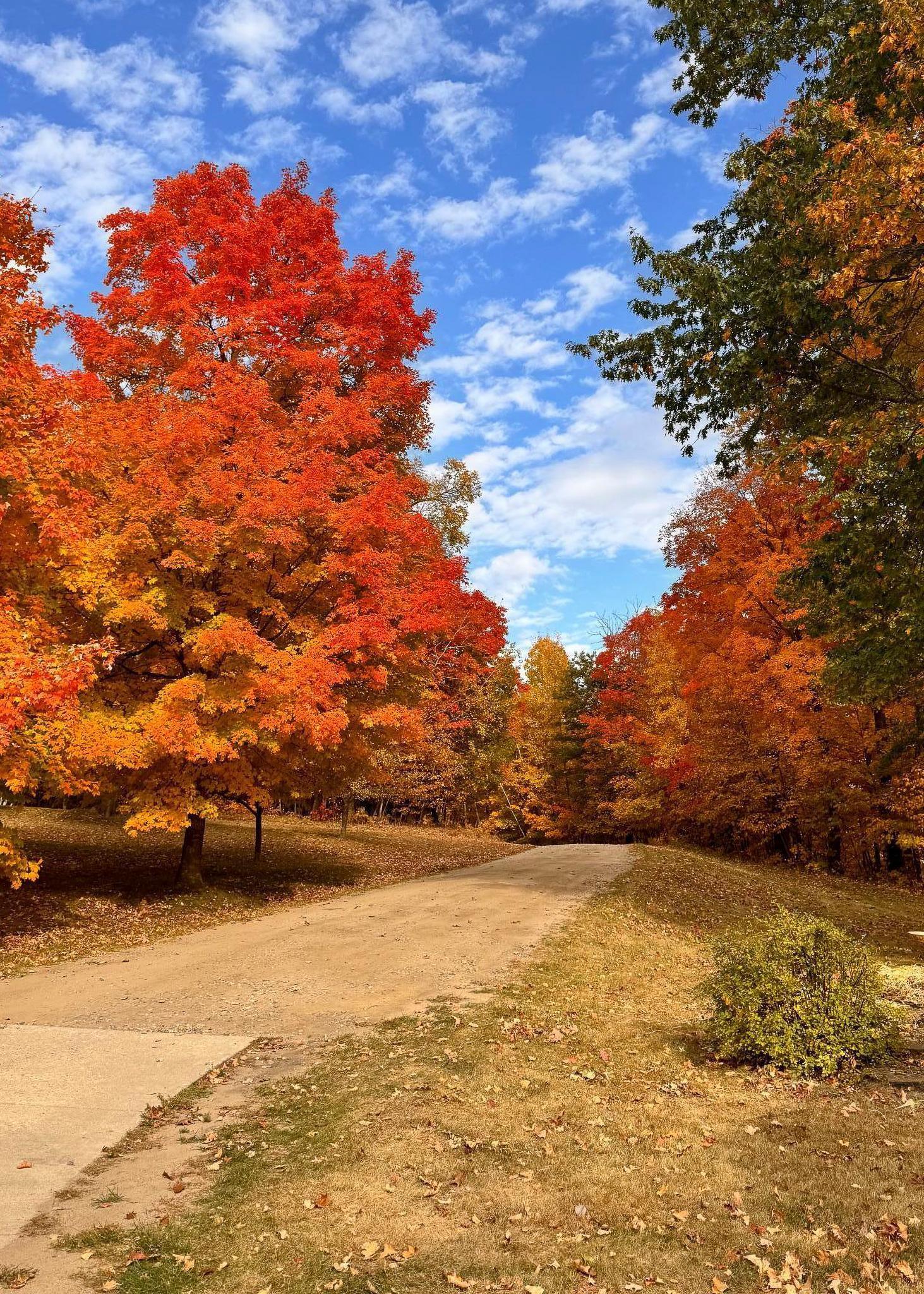 30871 Sunset Road Detroit Lakes, MN 56501 - Photo 68 of 69