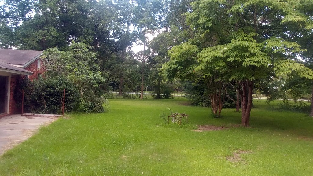 1348 Main Street Perry, GA 31069 - Photo 19 of 20 a view of a tree in a yard